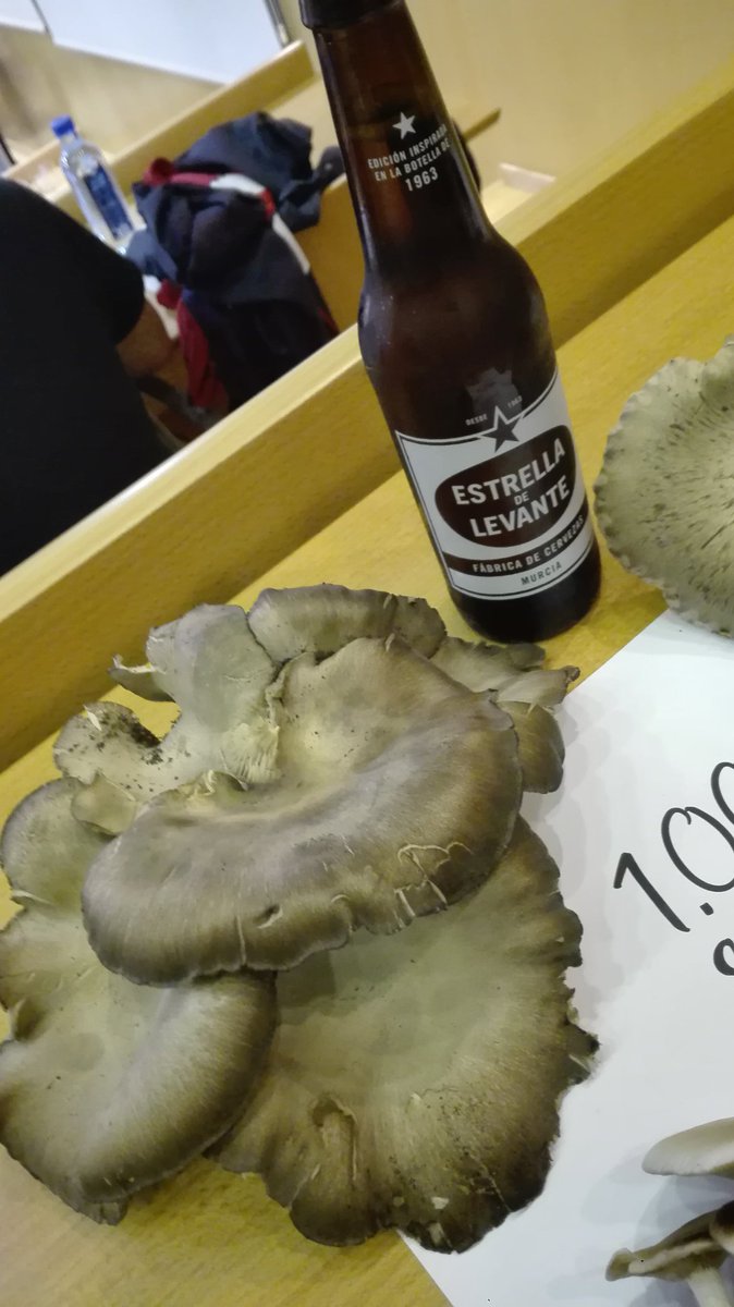 lamisquina's tweet photo. 🍄🍁¿Te vienes de ruta al monte con los misquinos? Nos adentramos en el mundo de la micología, la ciencia de los hongos, con @dlcocinero y Fátima González de #Fatari

¡A las 12 horas en el 92.6 FM no te pierdas este programa especial #MisquineandoConDavidLopez! https://t.co/VB1imYgz2a
