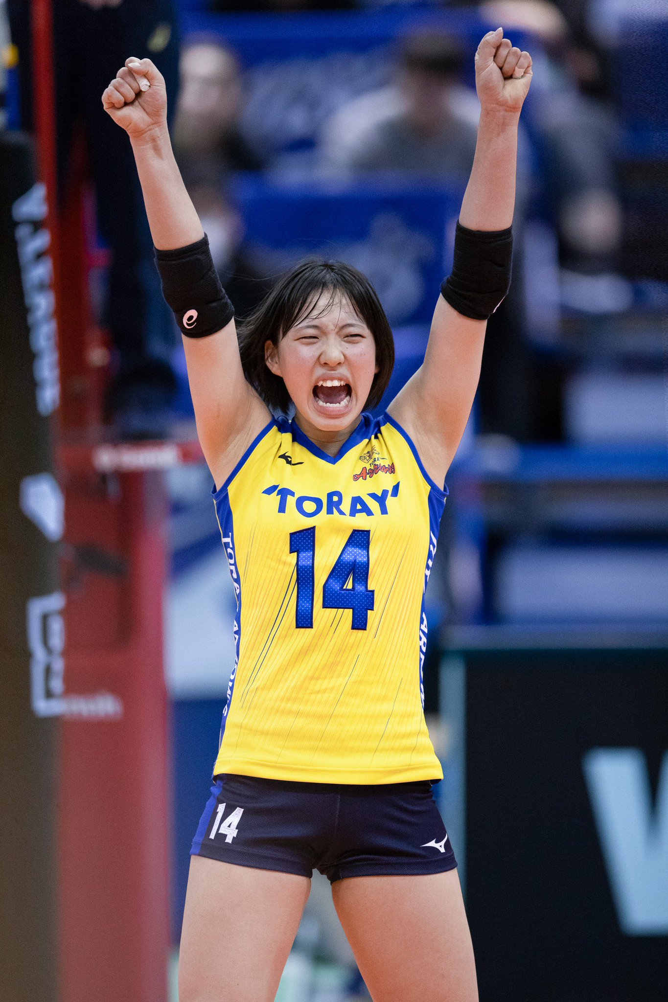 東レアローズ　関菜々巳選手　直筆サイン 2025年最新】関菜々巳 サインの人気アイテム - メルカリ