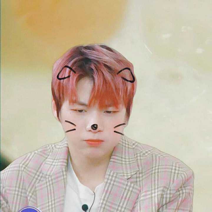 Kangdaniel_f_c's tweet photo. นีเอลน่ารักสุดเเล้ว ใครทำให้เนียลโมโหเนี่ย เเก้มป่องเชียว😍😍😍😍😍
#WANNAONE #WannaSpringBreeze #WannaOneCOMEBACKSHOW 
#KangDaniel #WANNAONEinThailand #wannaine https://t.co/M5N9egnKiy