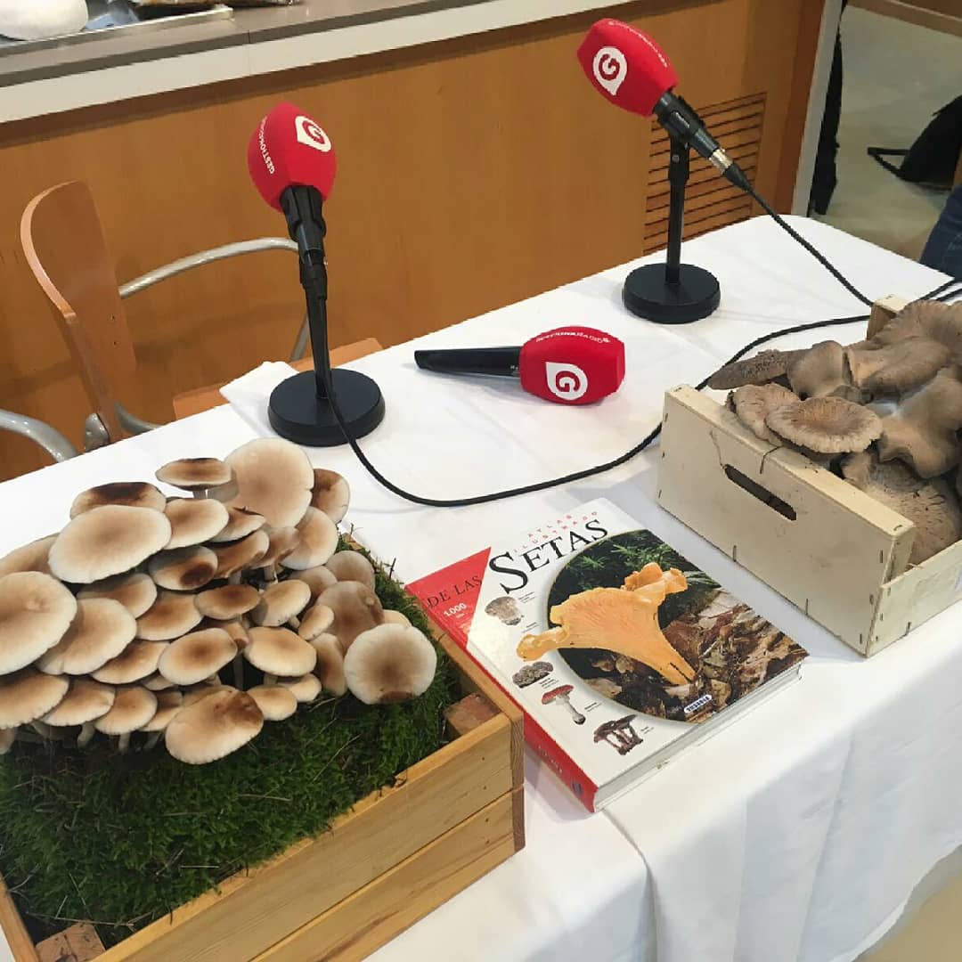lamisquina's tweet photo. 🍄🍁¿Te vienes de ruta al monte con los misquinos? Nos adentramos en el mundo de la micología, la ciencia de los hongos, con @dlcocinero y Fátima González de #Fatari

¡A las 12 horas en el 92.6 FM no te pierdas este programa especial #MisquineandoConDavidLopez! https://t.co/VB1imYgz2a