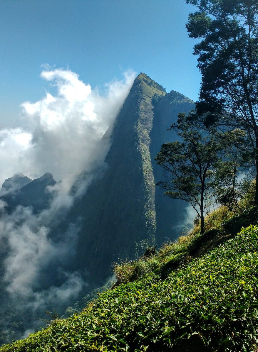 KeralaTourism's tweet photo. Every frame in Munnar is dreamy; perhaps why it is the most sought after honeymoon destinations in the country. https://t.co/sHBeoJf4cP