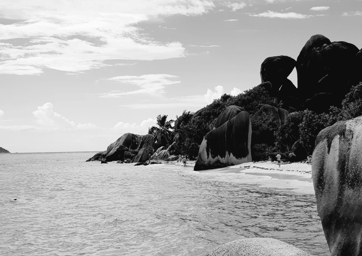 DoreenGnan's tweet photo. #blackandwhitechallenge 

day 2⃣ / 7⃣
🗓️ 7 days
 📸7 pictures
⛔️no people
⛔️no text

Would you like to join @SilviaOppus https://t.co/SnxRkaCxDE