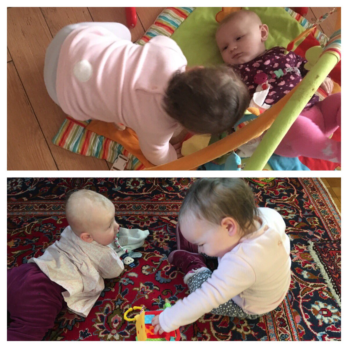 steffiskinder's tweet photo. Zusammen groß werden 😊 Dinge gemeinsam erleben und entdecken !

Ich bin gespannt ob bei Lara und Mathilda eine genauso tolle Freundschaft entsteht wie bei den grossen Geschwistern Pia und Jonas !! #zusammenerleben #entdecken #freundschaft #steffiskinderstube #tagesmutter https://t.co/JSn4KGoU0s