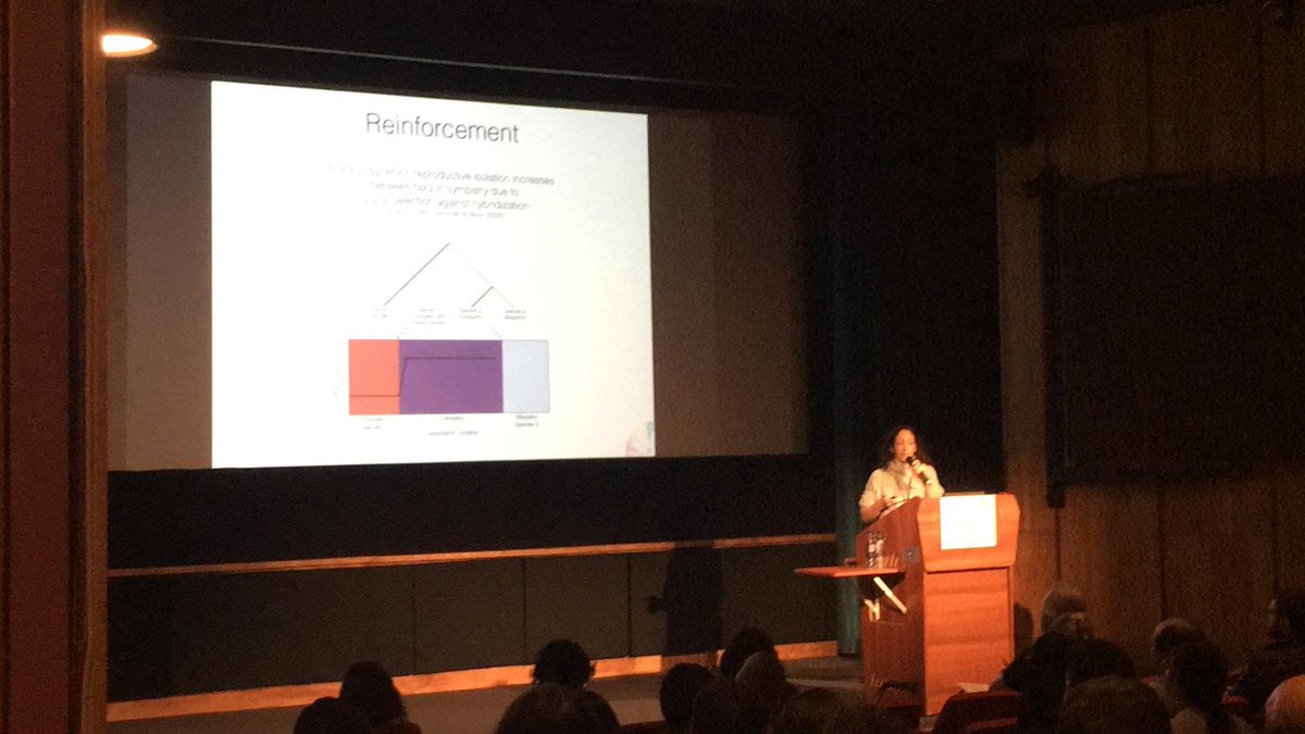 anariesgogil's tweet photo. ⁦@vtonzo⁩ talking about hybridization in montane grasshoppers and evolution of reinforcement at the #YSF2018 https://t.co/u4tp0vKSDv