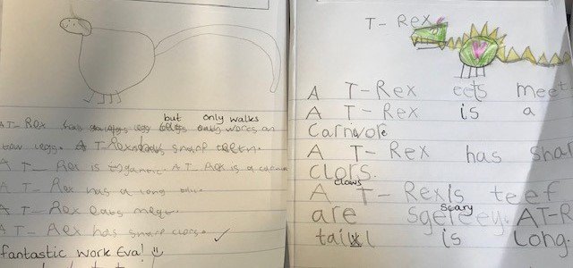 AlfordPrimary photo