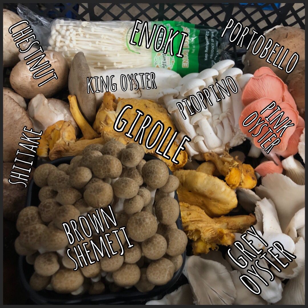 ftdorset's tweet photo. Exquisite Girolle Mushrooms in this weekโs Wild Mushroom Mix at Country Fare! With delicious nutty, peppery notes, girolles are perfect paired with similarly rich flavours. #countryfare #wildmushroommix #girollemushrooms #freshthinking #foodshowcase #passionateaboutfood https://t.co/e1EUhwpfyC