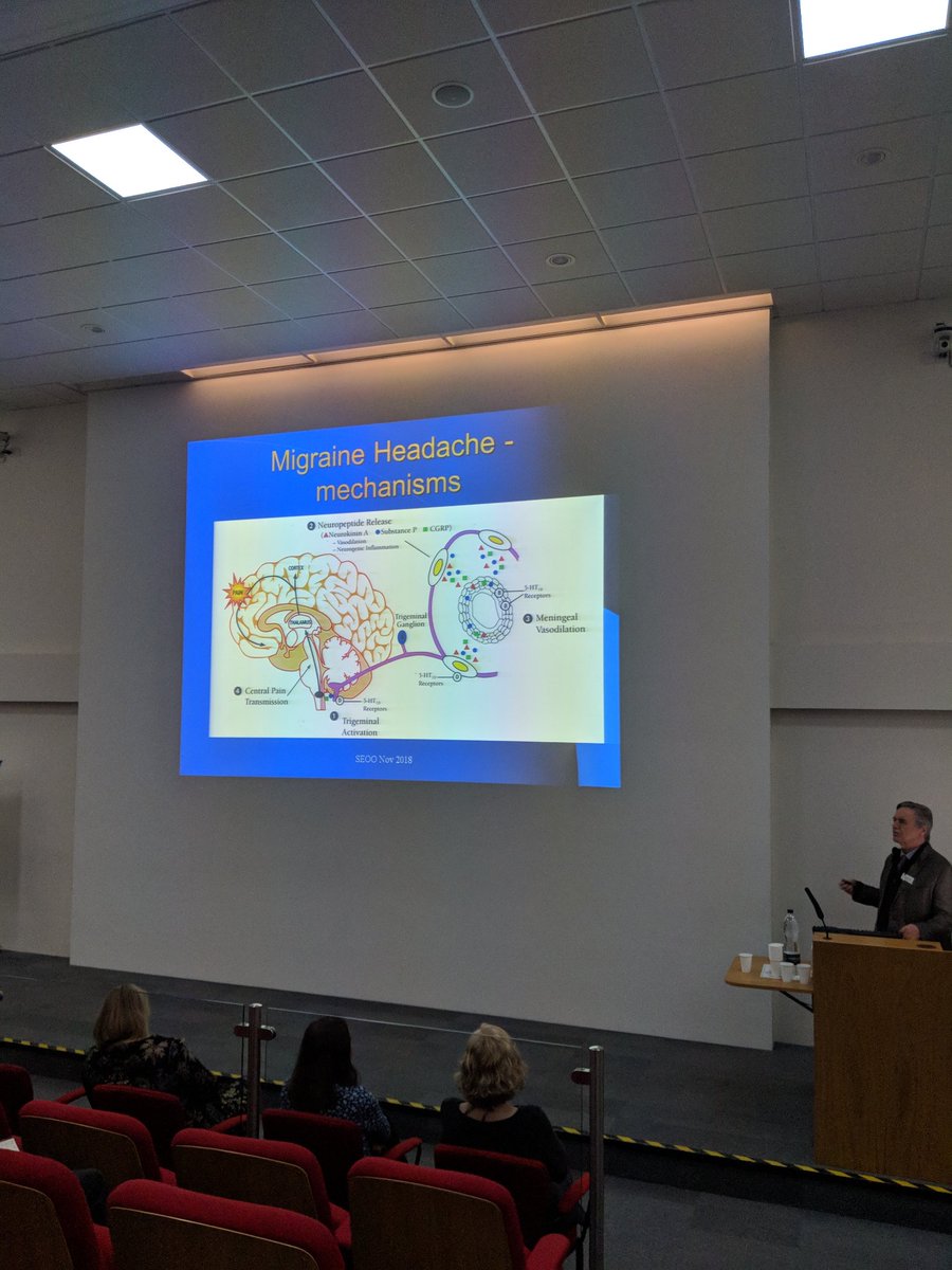 EshtOrthoptics's tweet photo. Thank you Dr Gordon Plant for a fascinating lecture on Migraine and Eye pain! @EshtOrthoptics @ESHTNHS @FollowBIOS #SEOOS https://t.co/wDVimIwlnH
