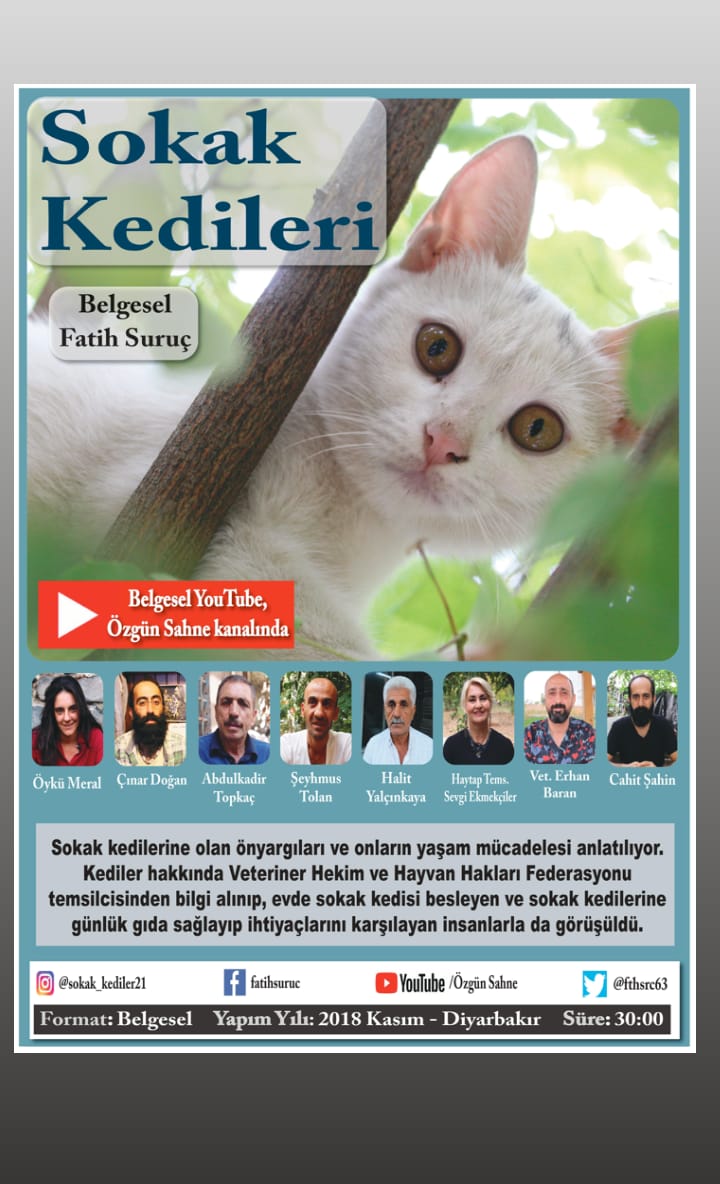 Sokak Kedileri 🐈 (Belgesel)

youtube.com/channel/UCKRcu…