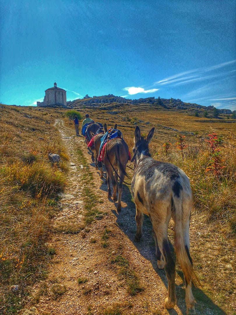 Donkey trekking to Rocca Calascio (aq)