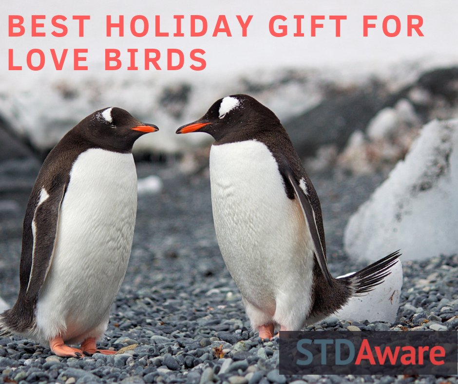 STDAware's tweet photo. Before penguins mate they present their partner with the most perfect pebble they can find...and and STD Test from STDAware. https://t.co/OTUpMkL5pc
BLACK FRIDAY & CYBER MONDAY GET 15-20% 6 AND 10 PANEL TESTING BUNDLES
#stdaware #gettested #stdfree #stdfreexmas https://t.co/bNCrOnl9oC
