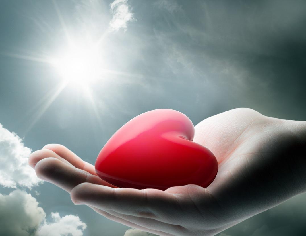 Tofayel Nata (@blackbo34154377) on Twitter photo 