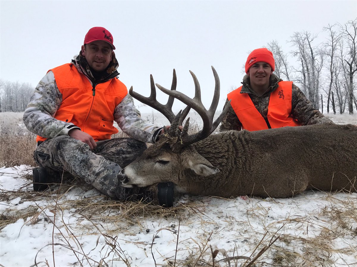 AWOL Outdoors tweet media