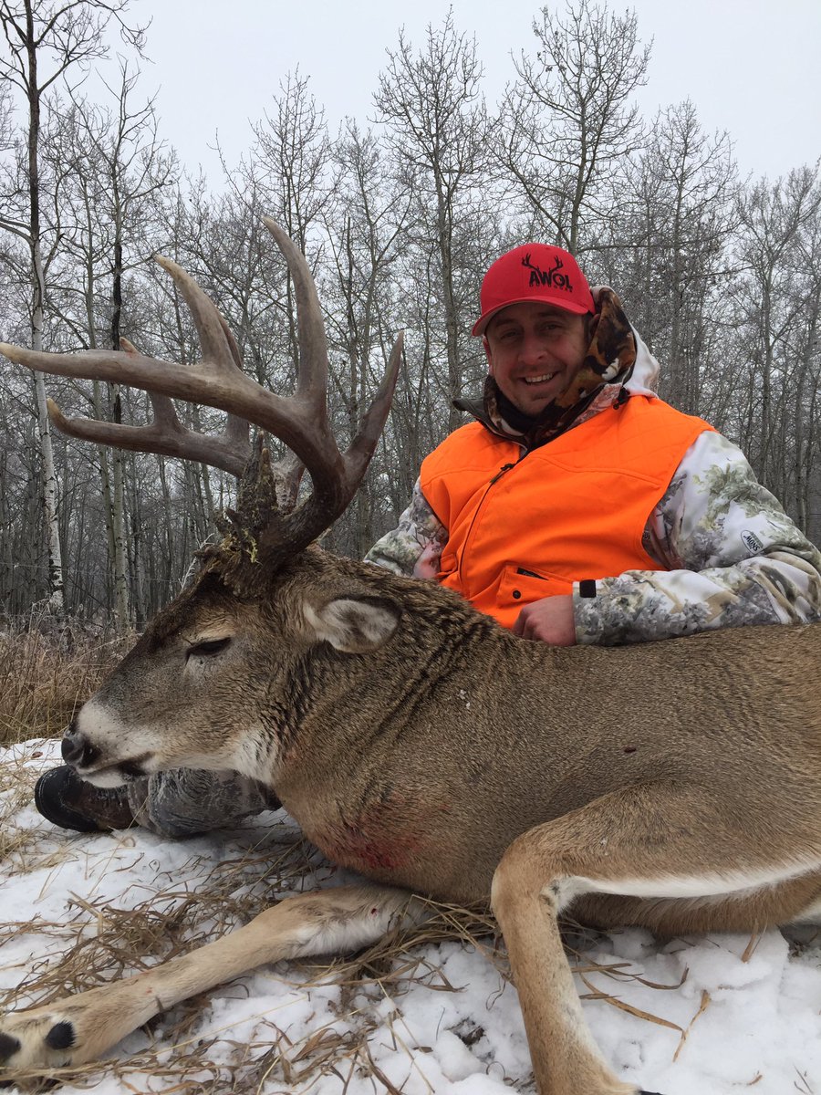 AWOL Outdoors tweet media