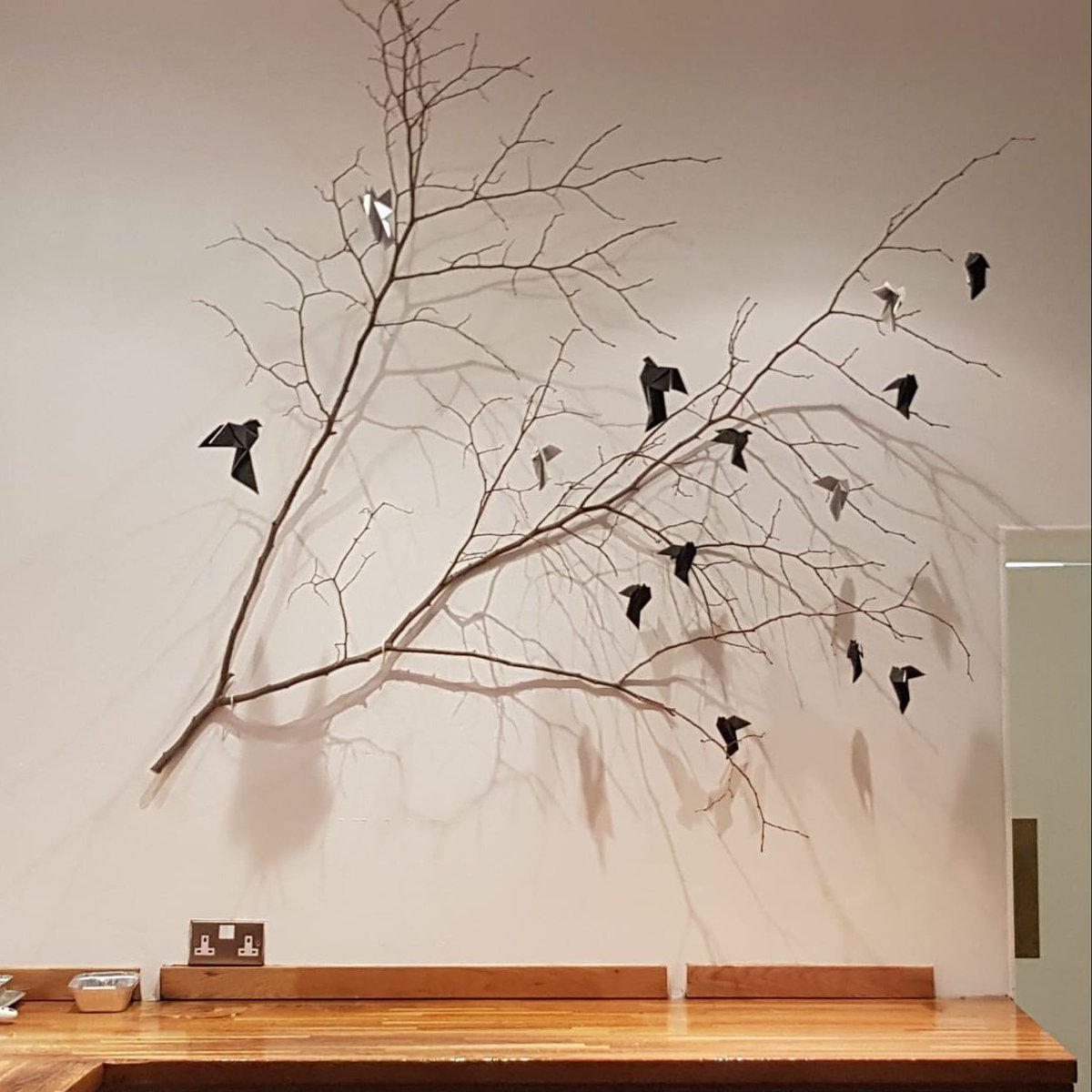 Love seeing this <a href="/ConditaR/">Condita_restaurant</a> #edinburgh #newopening #foodscene cold section