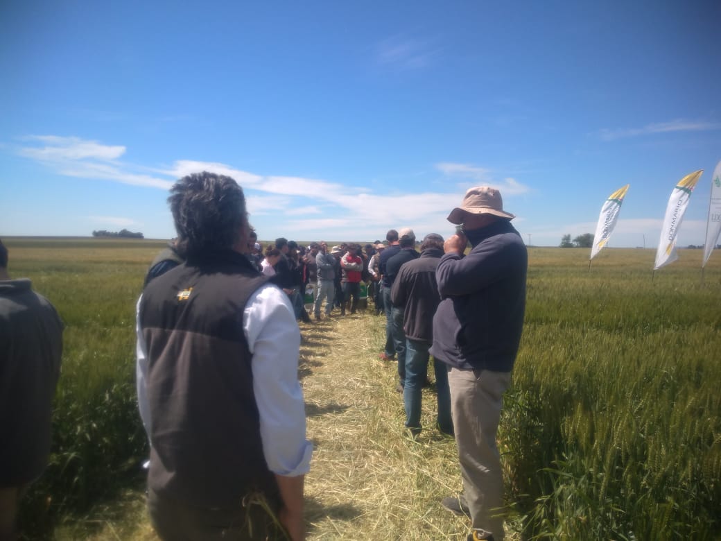 CREA SudOeste (@creasudoeste) on Twitter photo Hoy recorrimos los ensayos de fina en La Carolina. #geaso #sudoeste #creasudoeste <a href="/crea_arg/">CREA</a> Hoy recorrimos los ensayos de fina en La Carolina. #geaso #sudoeste #creasudoeste <a href="/crea_arg/">CREA</a>