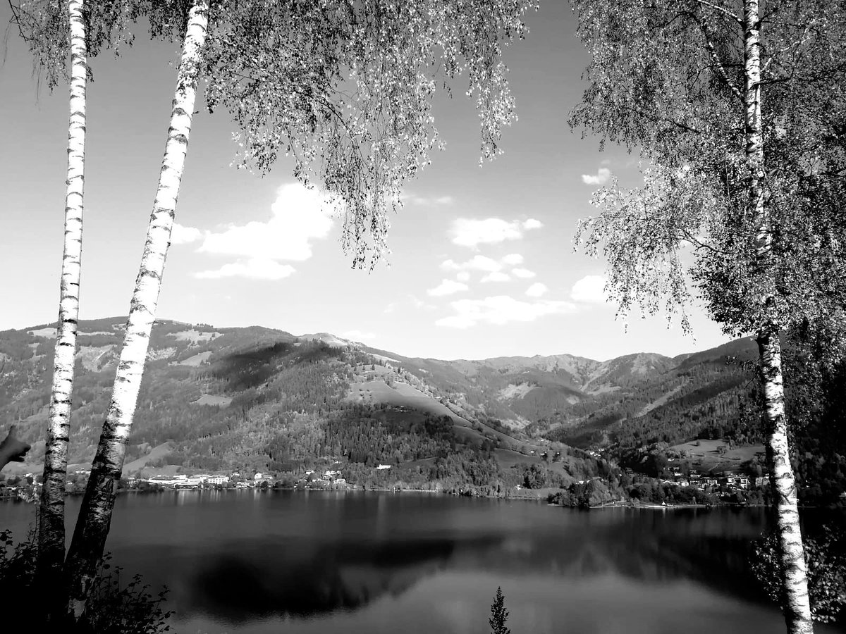 katrinstadelm's tweet photo. #blackandwhitechallenge 

day 2⃣ / 7⃣
🗓️ 7 days
 📸7 pictures
⛔️no people
⛔️no text https://t.co/hfBlUHCKru