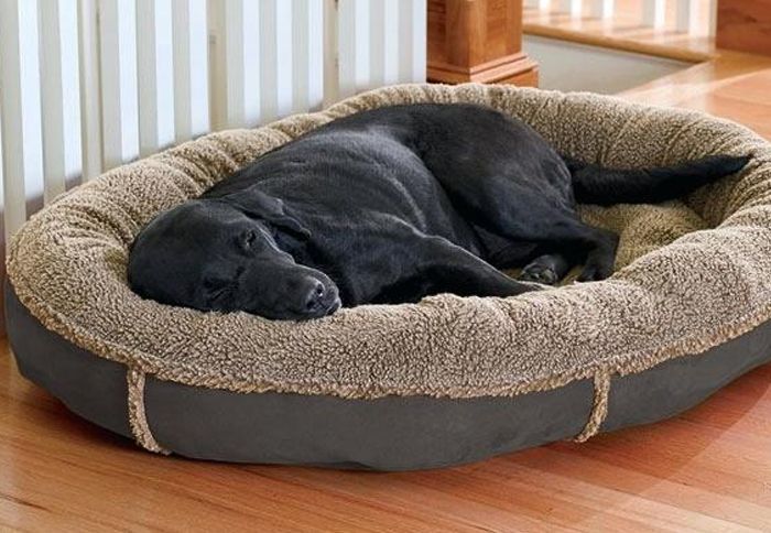 fully washable dog bed