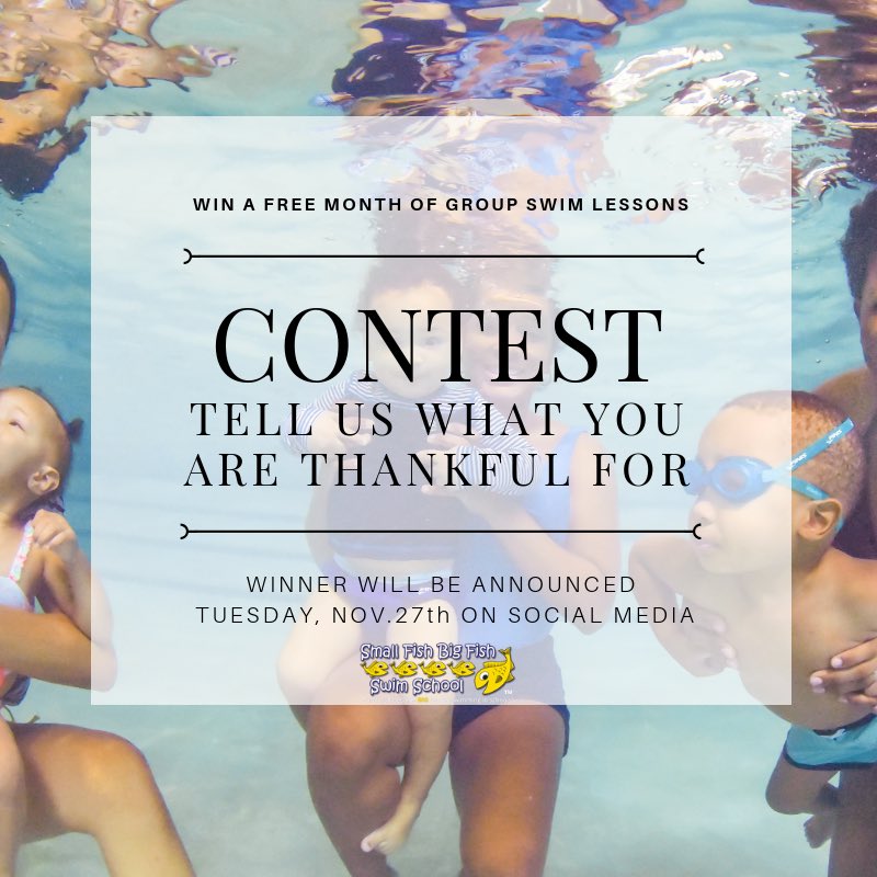 SFBFswimschool's tweet photo. "To enter, let us know ""What You Are Thankful For"" in the comment section." https://t.co/5mKwfSK0j2