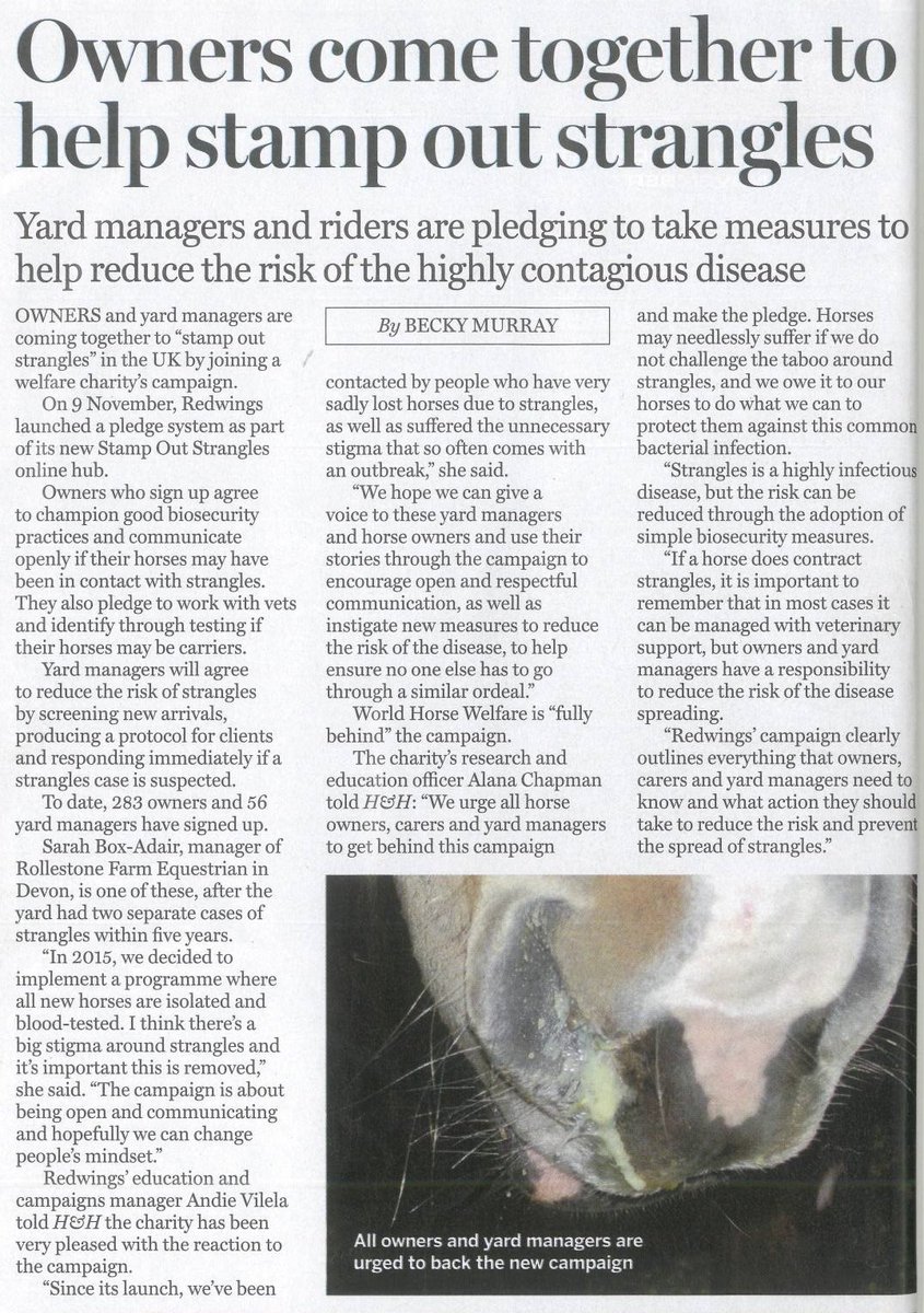 RedwingsHS's tweet image. Thank you @horseandhound for featuring our #StampOutStrangles campaign in this week's magazine! If you want to get involved, head to our online strangles hub for plenty of information and advice, and to take our horse owner or yard manager pledge - redwings.org.uk/strangles