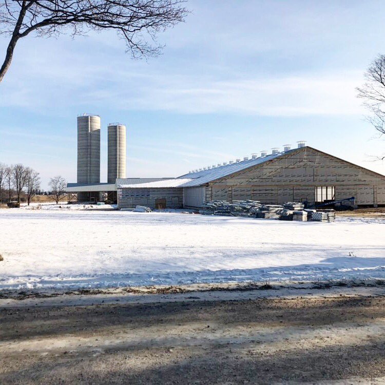 Avonbank_Ag's tweet image. The future home of #Lely @DairyRobot Astronaut A5&apos;s and a M2 @LelyVector. #livelifelely