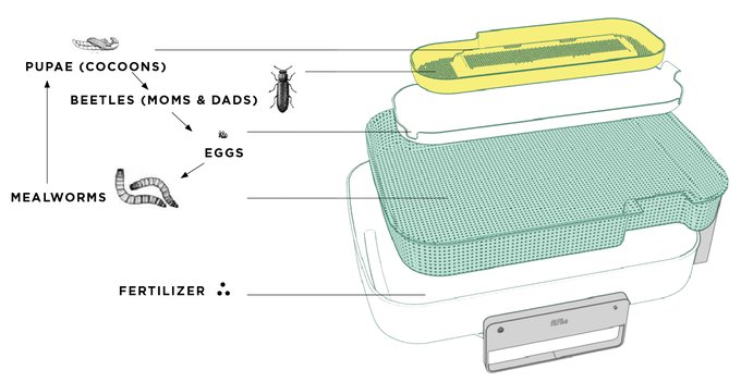 Livinfarms's tweet photo. Why Hive is a smart technology insect home?
>> https://t.co/cqi3IWsdqk 
Don´t miss out 🙃 to support people around the world co-creating a healthy planet😍

#STEM #education #edibleinsects #recycling #foodwaste #fertilizer #protein #startup #crowdfunding #insectsandcoding https://t.co/rQImD6LUOB