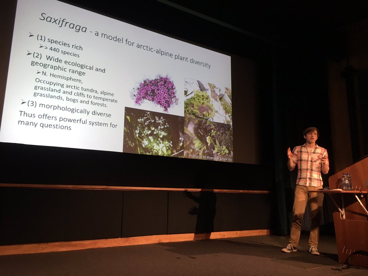 SystAssn's tweet photo. @AngeloMoerland presenting his work on target enrichment used on to help solve taxonomy of Saxifraga species #2018YSF https://t.co/hWw1EPMEyI