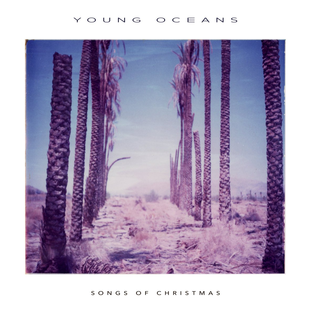 Young Oceans tweet media