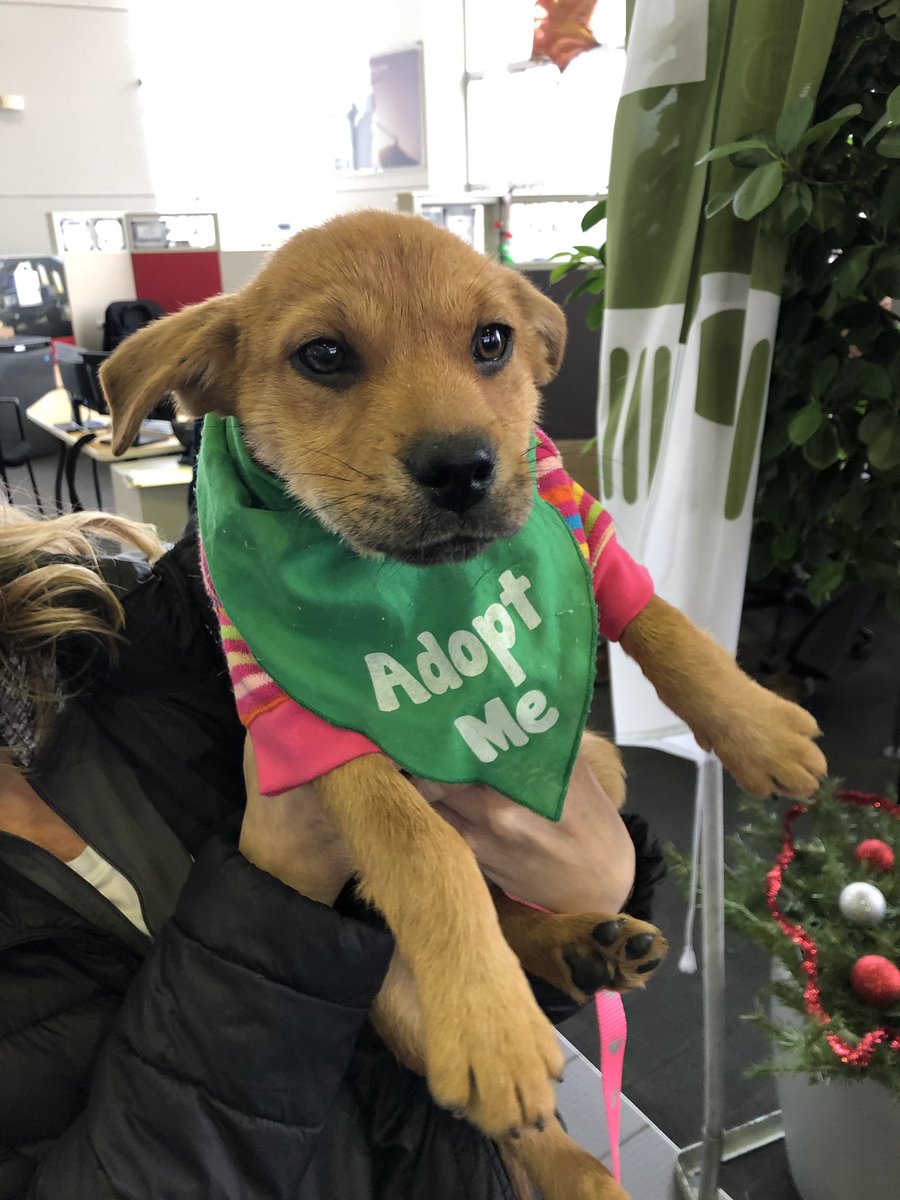 Robin Rock Robinrock Twitter