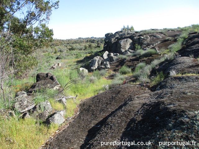 PurPortugal's tweet photo. ANB31: Corxéro, Monsanto https://t.co/un9DcWvqv8 Bâtiment massif en granite de 48m2 &amp; annexe. Classification cadastrale : rustique &amp; urbaine. Nouveau toit isolé. Electricité, eau &amp; téléphone à proximité. Terrain de 8,800m2 avec arbres #Monsanto #Portugal https://t.co/keQhnC8YSs