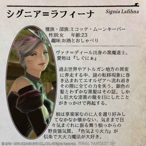 黒魔猫のしぐにぁ🐈‍⬛@現在7.0【Gungnir】 tweet media