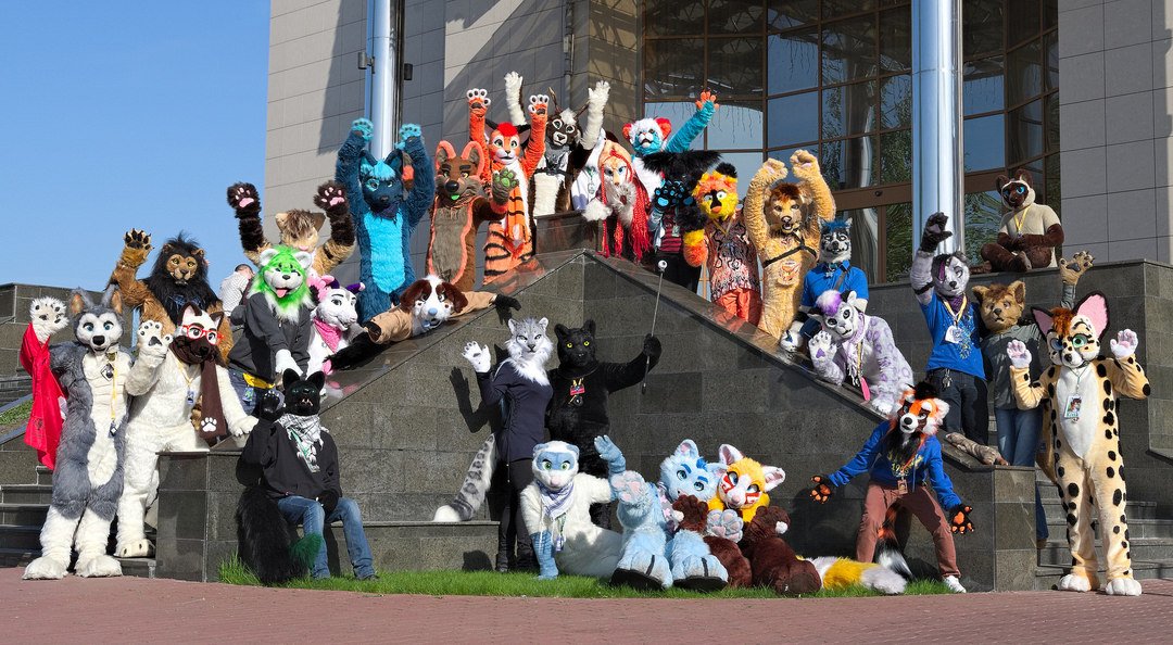 uafurence's tweet photo. Bunch of fluff from #WUFF2017 ! #Fursuitfriday
Photo by @IngvarJackal https://t.co/h2n7XaBz3w
