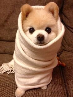 MelanomaMe17's tweet image. Even though its the time of year we all wrap up warm. Remember to still check your skin regularly for any changes #prevention #selfchecks #skinawareness #melanomadoesnotdiscriminate