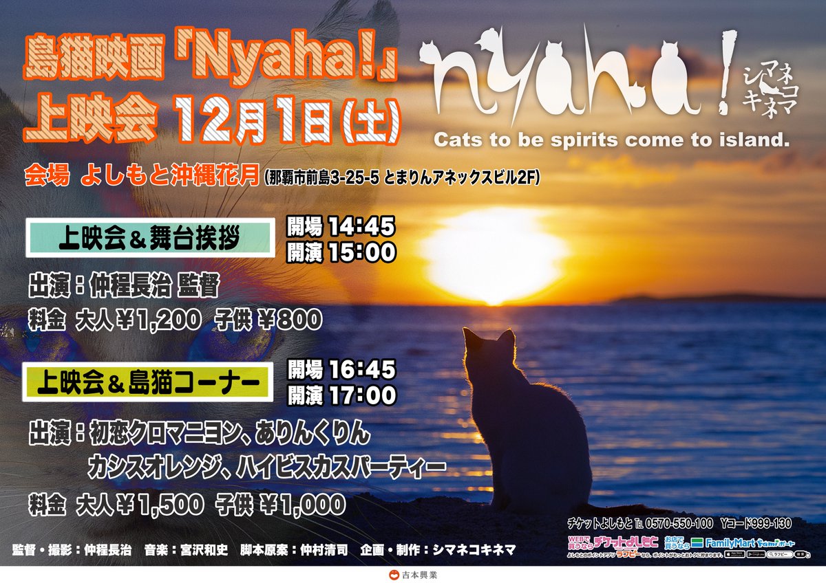 nyaha_28's tweet photo. ご報告です。島猫映画「Nyaha! （ニャハ！）」、���成いたしました！
2017年夏より１年半にわたる制作期間を経て、沖縄の自由な島猫たちを追いかけました。筋書きのない物語ゆえ予期せぬトラブルなどありましたが、スタッフ一同完成をうれしく思い、みなさまからの長期の応援に、心から感謝いたします。 https://t.co/OyYLCVvOfB