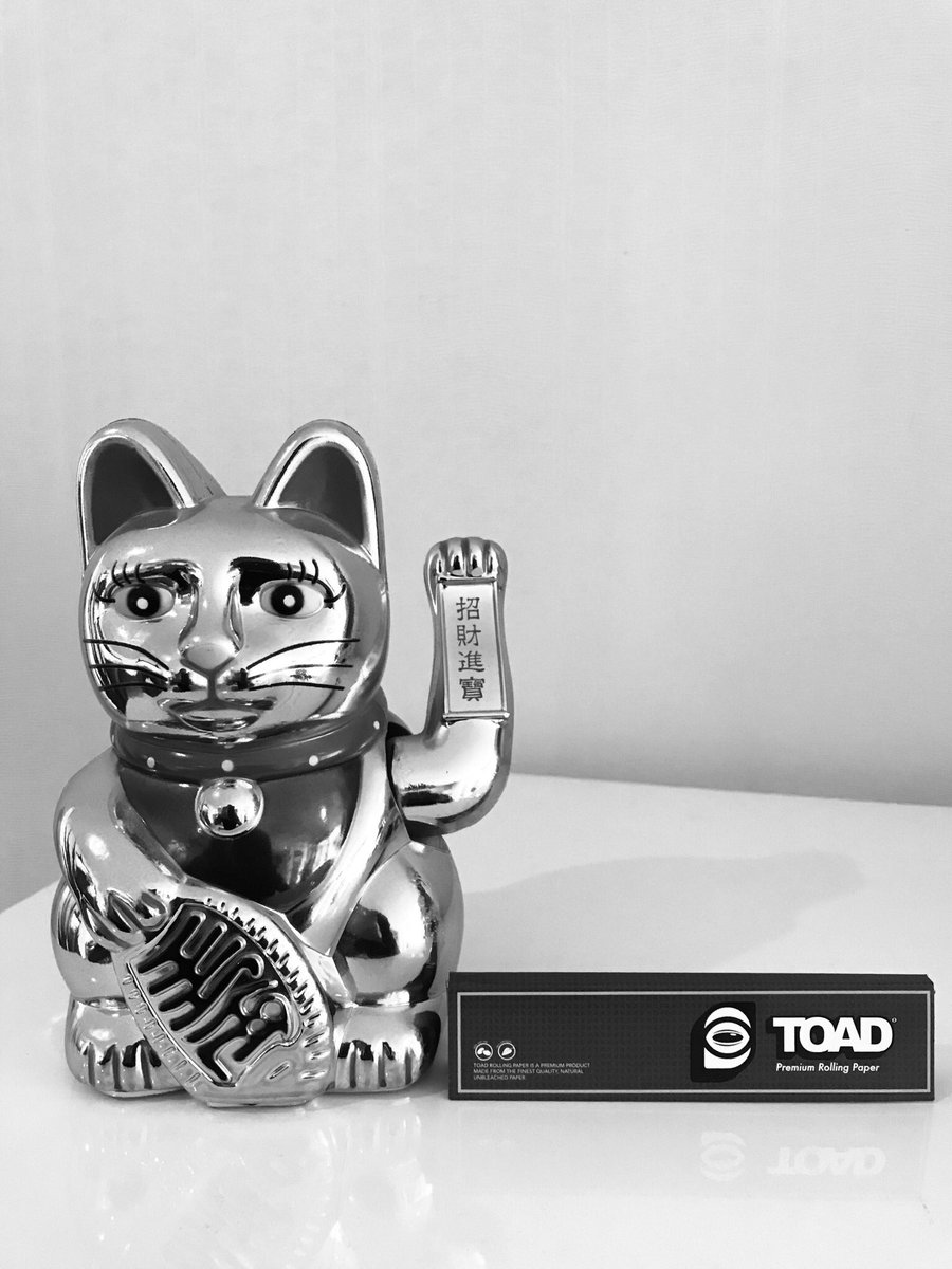 MadeByTOAD's tweet photo. #RollWithTOAD https://t.co/KgU3mKcydq