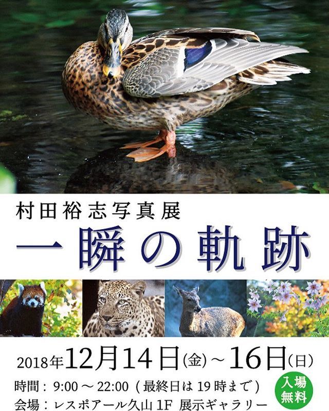 レスポアール久山 Hashtag On Twitter