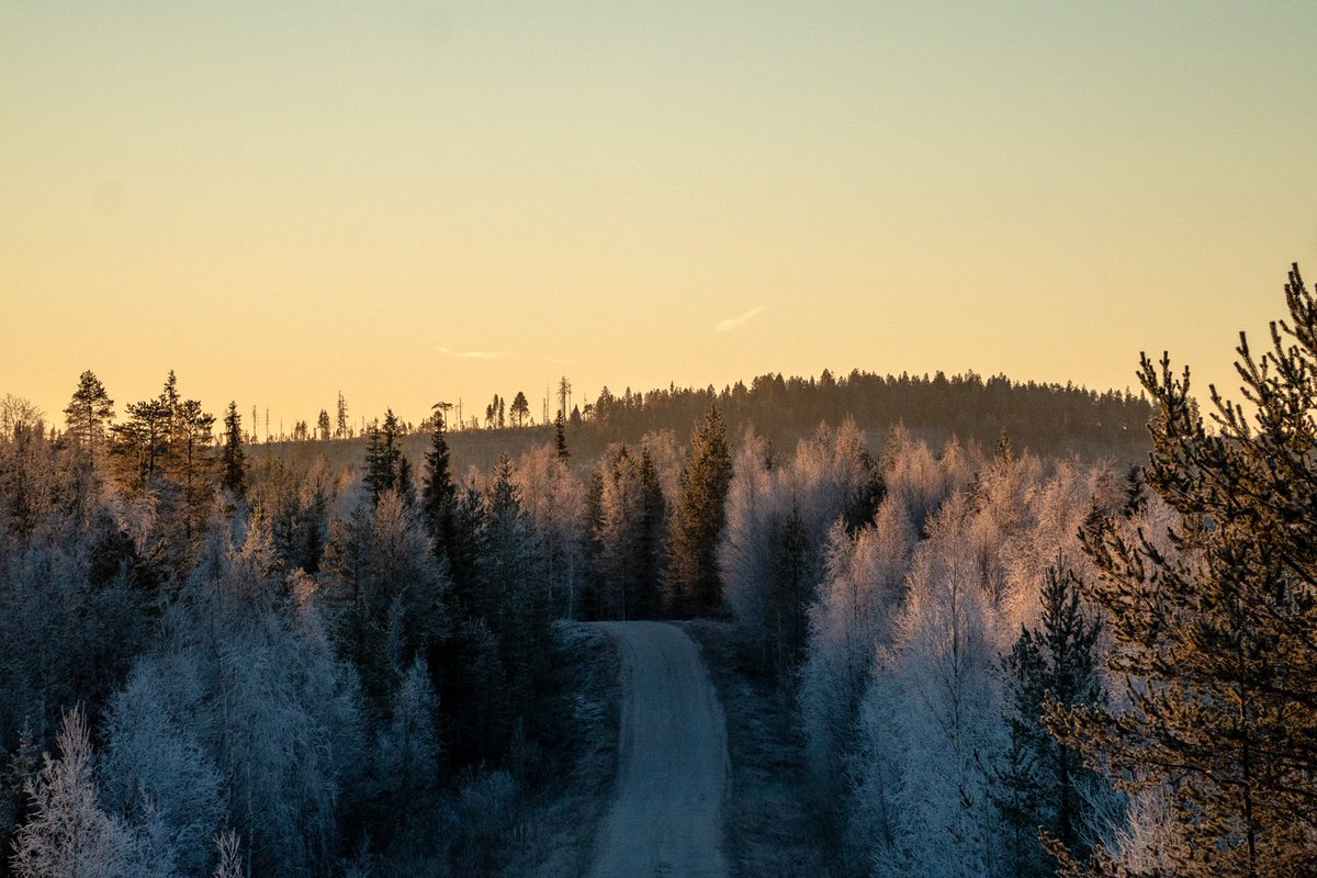 VisitRovaniemi's tweet photo. @TheSun Warm greetings from #crapland (formerly known as #Lapland). #Rovaniemi #VisitRovaniemi #Finland #snowgate #snowsituation https://t.co/jzOJxeC1Pj