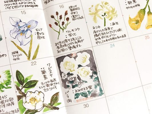 惠 11月 花マンスリー 手帳 万年筆イラスト部 T Co 7npvudhkls Twitter 惠 11月 花マンスリー 手帳 万年筆イラスト部 T Co 7npvudhkls Twitter
