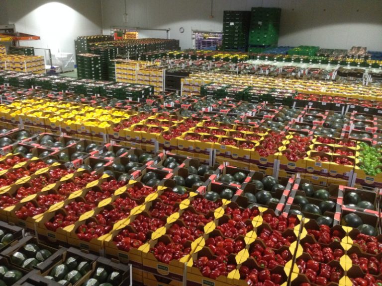 fruittoday's tweet photo. “Elegimos semillas 100% ecológicas”. Lo cuenta @hortamira en nuestro último número. El porqué, en este artículo: https://t.co/gwftb306Xq @VitalisEspana @ExperienciasEZ https://t.co/ulRYJEPnEf