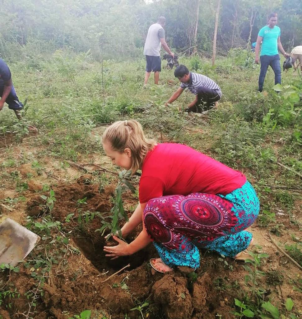EviePoole_'s tweet photo. What an amazing final day in the Ayurvedic hospital! I've helped plant trees in the new herb garden with the military, learnt about pressure &amp; massages and helped teach a german tourist group about Ayurvedic medicine and the hospital! #worktheworld #travelsrilanka @NursingUoW https://t.co/F9q6JBrwtm