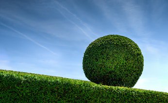 AcebBergueda's tweet photo. Noves #OfertesDeFeina al #Berguedà:
https://t.co/bVOE6U2E6v
Oficials i operaris de jardineria,
i Responsable de projectes i gestió de subvencions.
Envieu el vostre CV a: rrhh@aceb.cat https://t.co/y7EV0Sr2pS