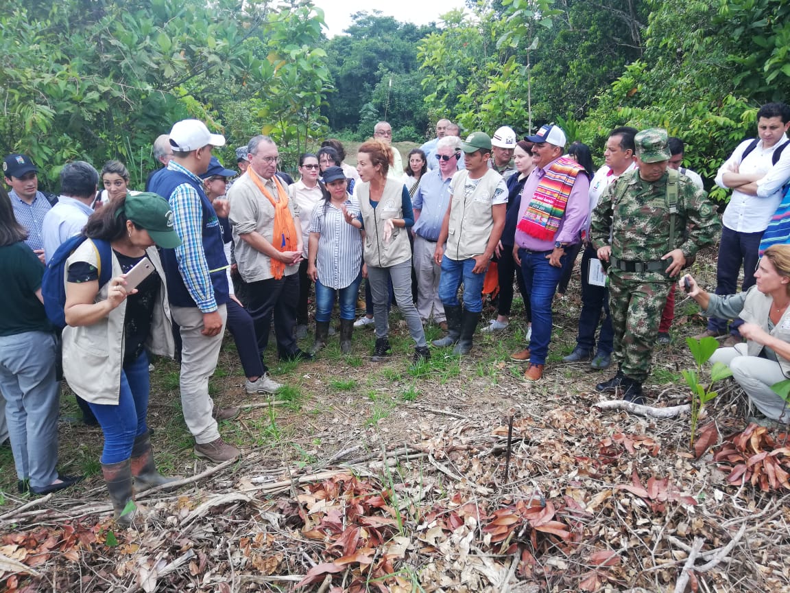 Asociacion Mujeres tweet media