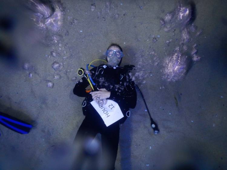 2OceansAquarium's tweet photo. The UCT Underwater Club's third #Diver24 event at the Aquarium is gearing up to be bigger and better, aiming to raise R24000 for #ProjectTurtle and @SANCCOB . Please support this passion: https://t.co/lBNb5GVTAs #capetown @UCTUnderwater https://t.co/vuTntxeooK