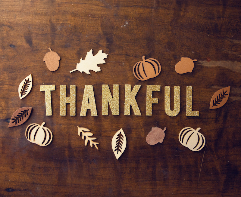 Happy Thanksgiving from our family to yours!