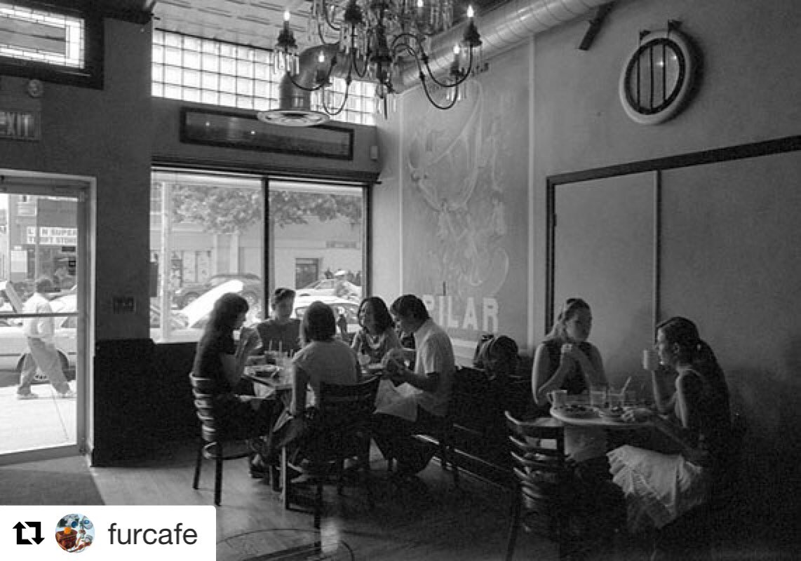 BarPilar's tweet photo. 📸 #FBF 🙏🏽 @furcafe! Tons of Black Friday shops on 14th-Happy Hour starts at 5!
・・・
13 yrs ago: Bar Pilar, in its original 1-floor configuration. #acreativedc #BYThings #exposedDC #FotoDC #madeinDC #dcfocused #popville #dcisreal #NotASwamp #logancircle #midcitydc #summer2005 https://t.co/90GfFYwqDd