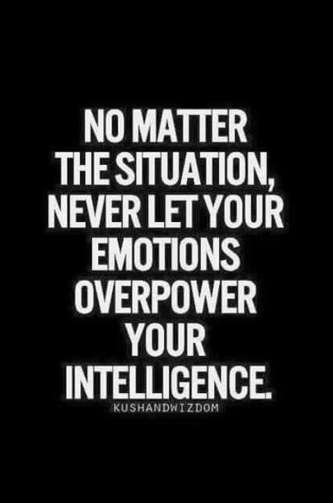 csnewman91's tweet image. NOTHING is going to make me mad enough to break something I am going to have to pay to replace.  #TooSmartForThat