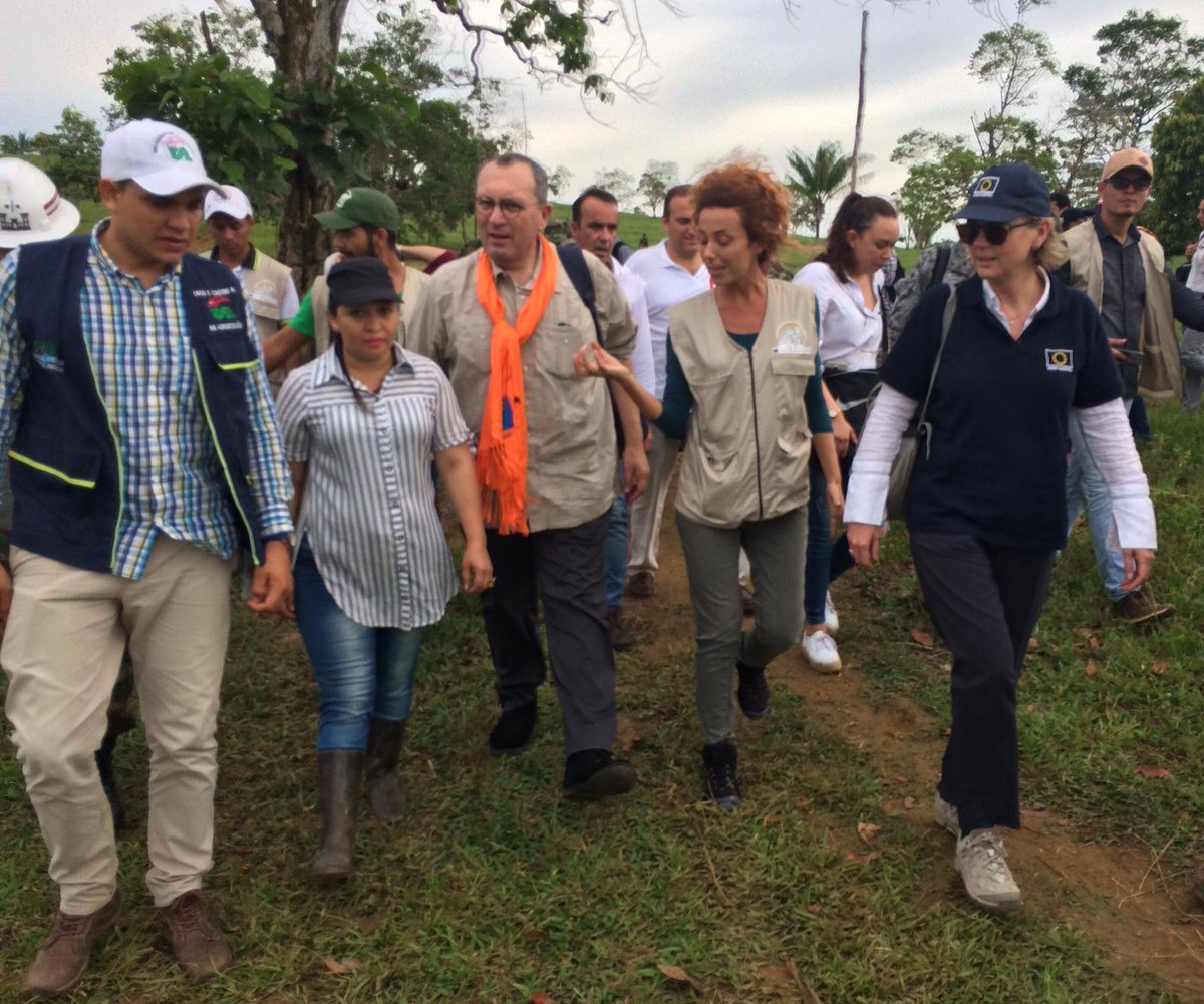 Asociacion Mujeres tweet media