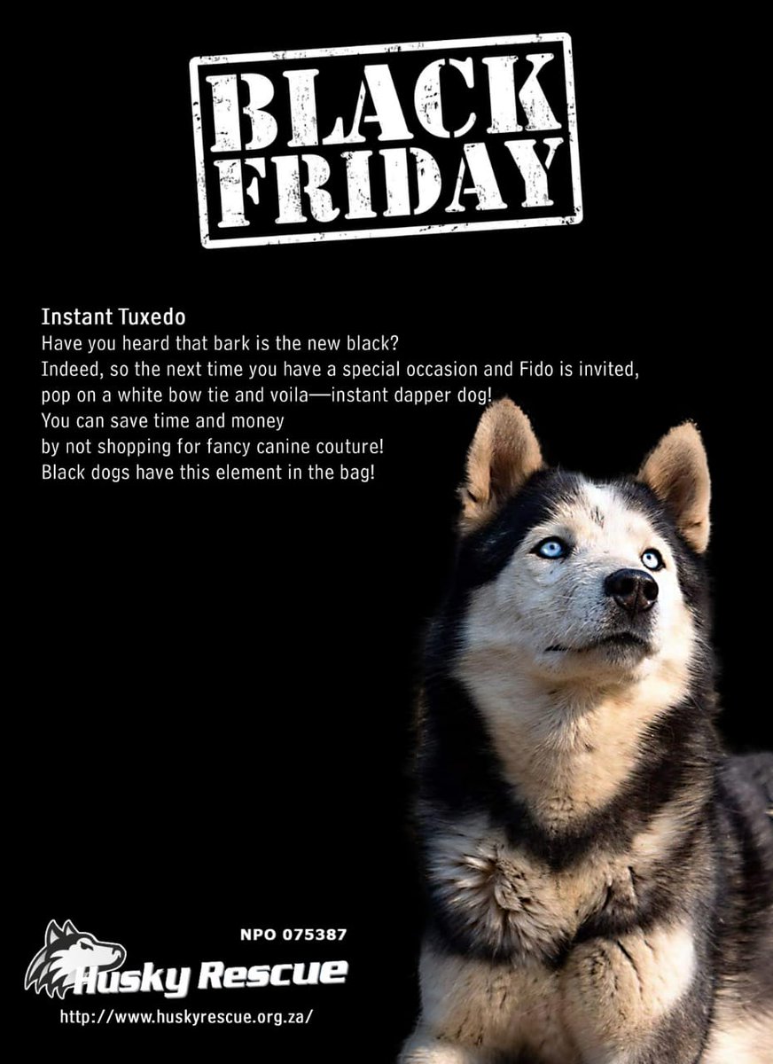 HuskyRescueSA's tweet photo. Adopt, don't shop. 
Avoid the queues. 
Save a life on Black Friday #BlackFriday #Rescue #Huskies #AdoptDontShop #AnimalRescue https://t.co/TOggYXaTet