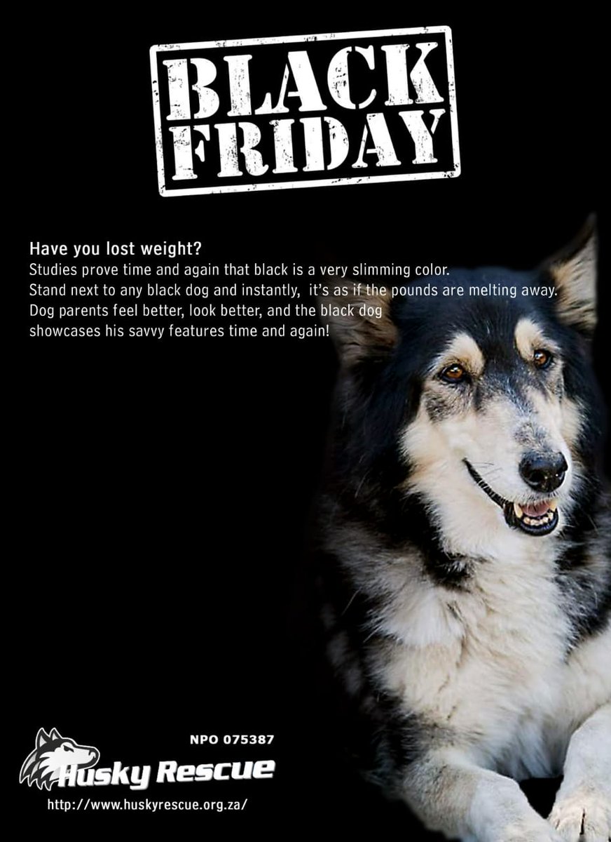 HuskyRescueSA's tweet photo. Adopt, don't shop. 
Avoid the queues. 
Save a life on Black Friday #BlackFriday #Rescue #Huskies #AdoptDontShop #AnimalRescue https://t.co/TE8P2Jr1AZ