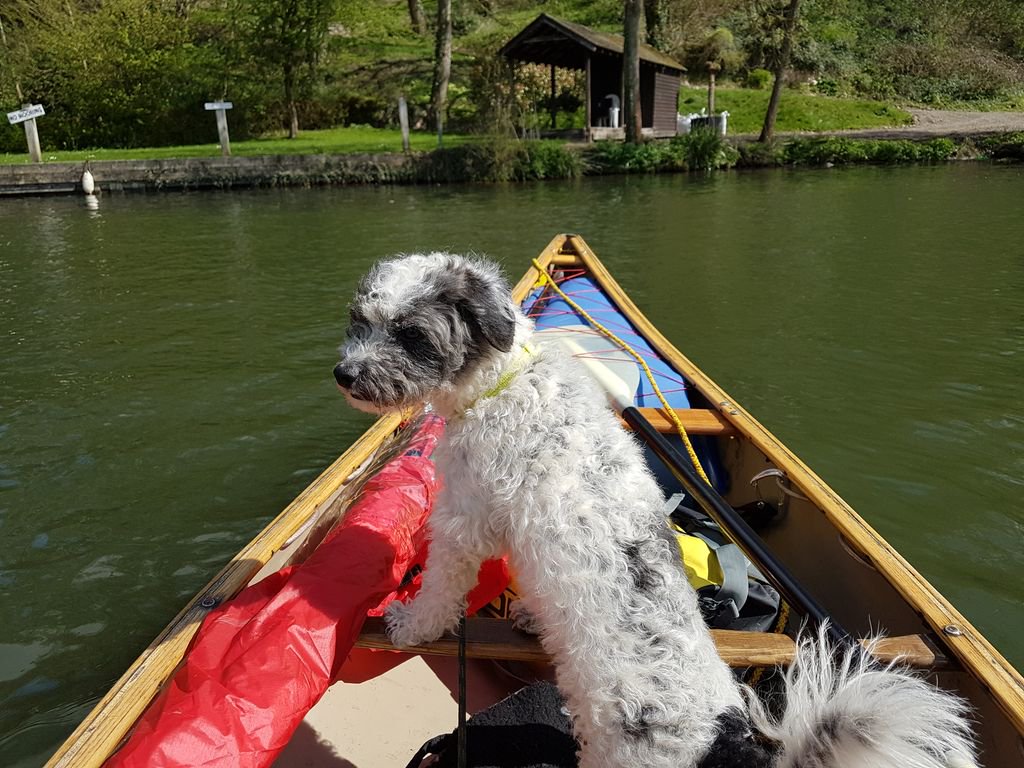 NoLimitsDev's tweet photo. Planning some exciting Canoe DofE Expeditions today on the Thames and the River Wye!
#canoe #dofeexpeditions @dofeuk #nolimitsdevelopment https://t.co/dbV9bC7KJC