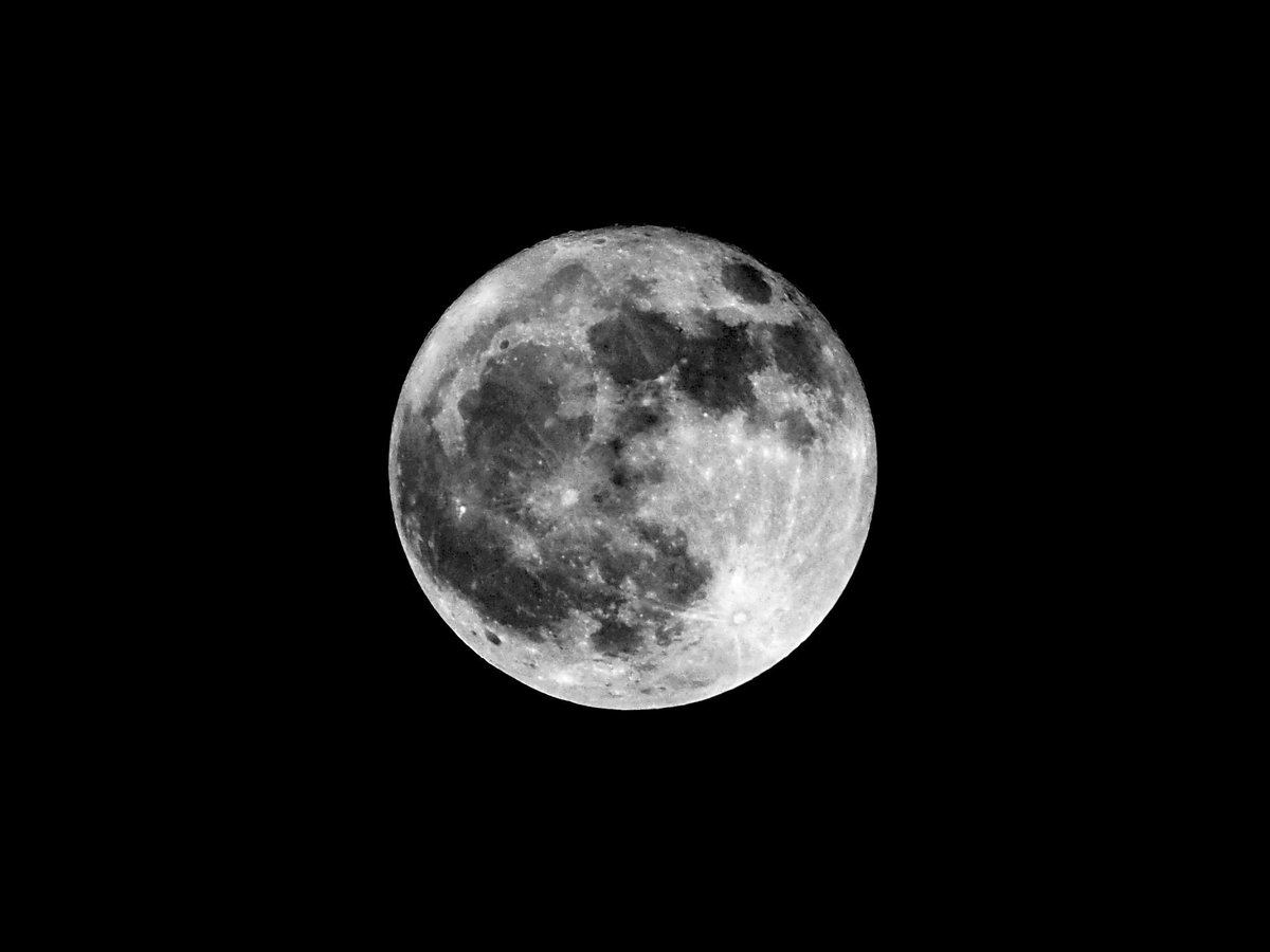 photosjpn's tweet photo. Tonight's Full Beaver Moon over Kobe, Japan! #CNNWeather #CNNSpace #CNNiReport #cnntravel #space #moon #fullmoon #sky #japan #astronomy #photo #photography #travel #supermoon #nature #naturelovers #naturephotography #science #astronomy #night #photography #science https://t.co/WxmaMOiOnF